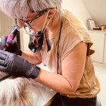 Maquillage Permanent Hallines